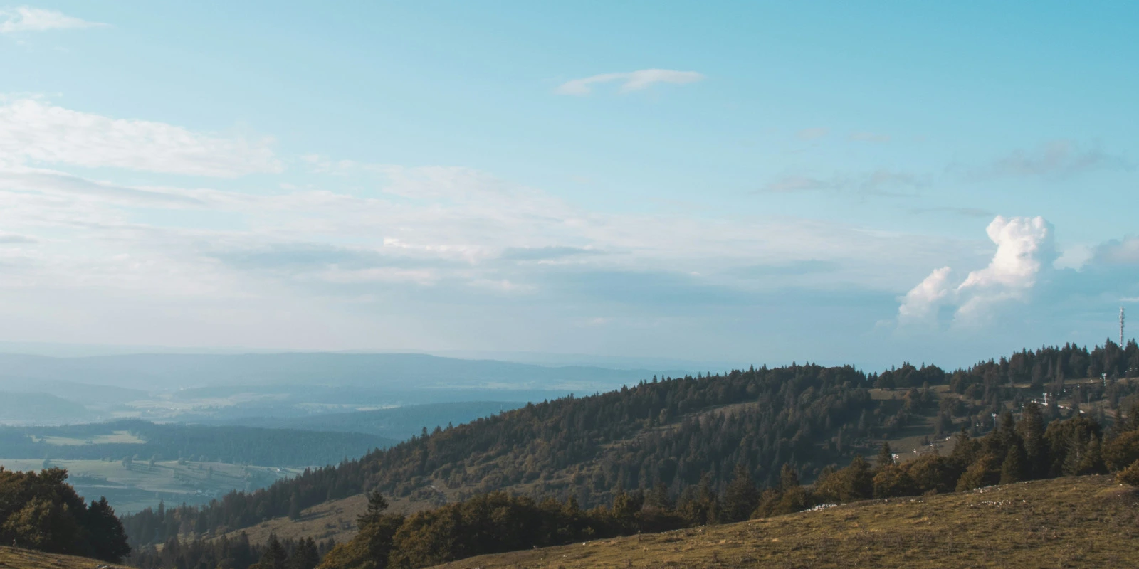 Débouchés de la Licence STE à Montpellier