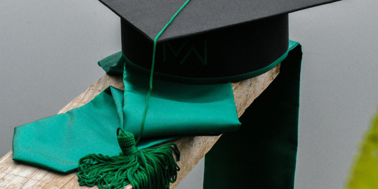 Les Débouchés Après une Licence STE à Grenoble