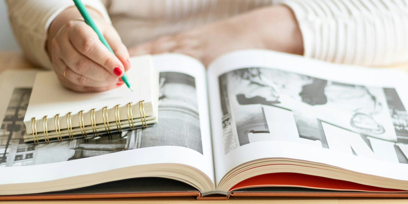 Les Débouchés de la Licence STE (Sciences de la Terre et de l'Environnement) Les Débouchés de la Licence STE (Sciences de la Terre et de l'Environnement)