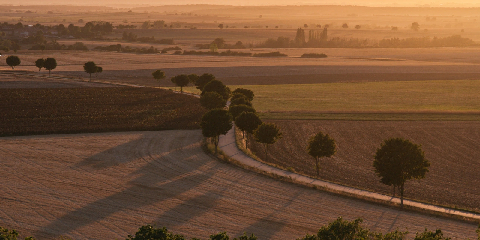 Pollution de l'Eau et du Sol : Détection et Traitement
