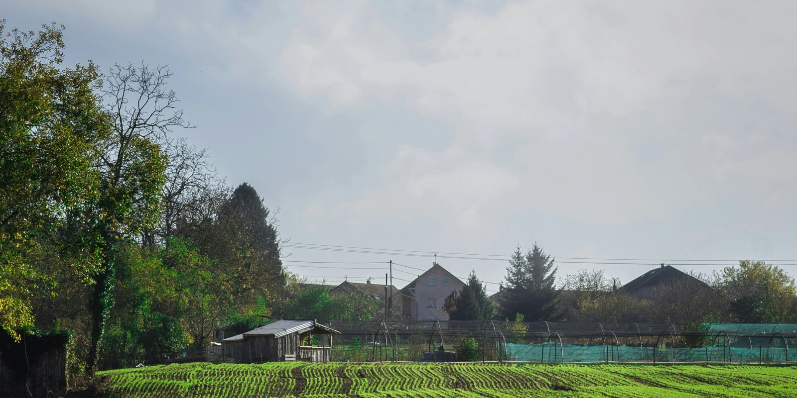 Programme de Licence STE à Toulouse : Opportunités et Compétences